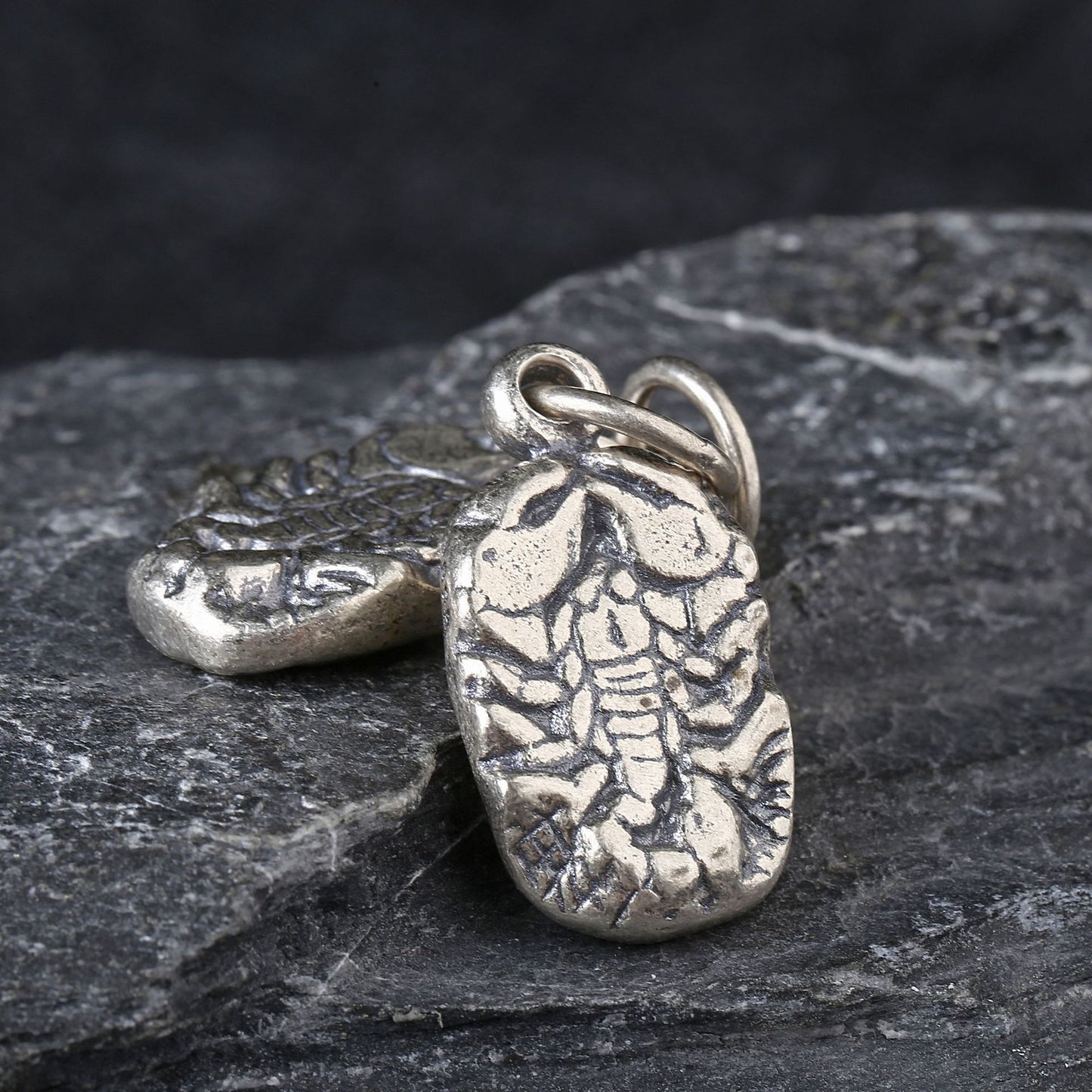925 Silver Scorpion Pendant – Padmasambhava Charm | Elvarina